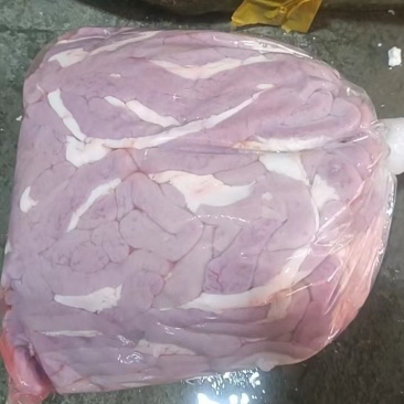 都是当天的猪苦肠