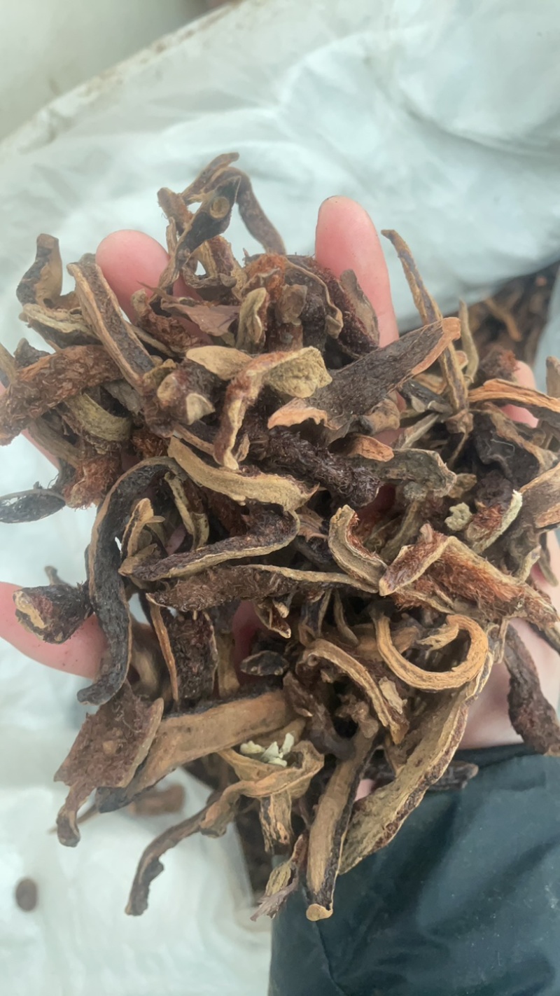 骨碎补毛姜保庆药业批发骨碎补实物拍摄！