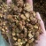 灸甘草蜜灸甘草制甘草保庆药业批发炒甘草