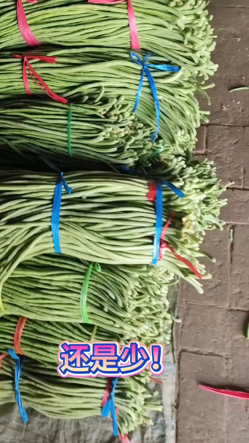 长豆角即将开始上市，质量非常好，货源稳定，欢迎致电！