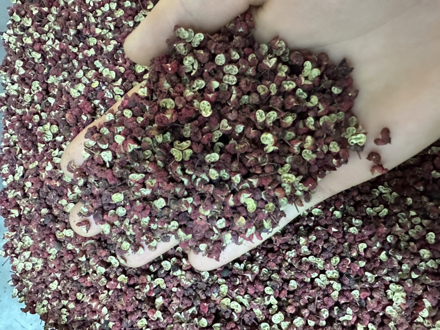 展示去皮后的花椒木成品,表面光滑整洁,适合雕刻或制作工艺品 去皮后的花椒木成品展示