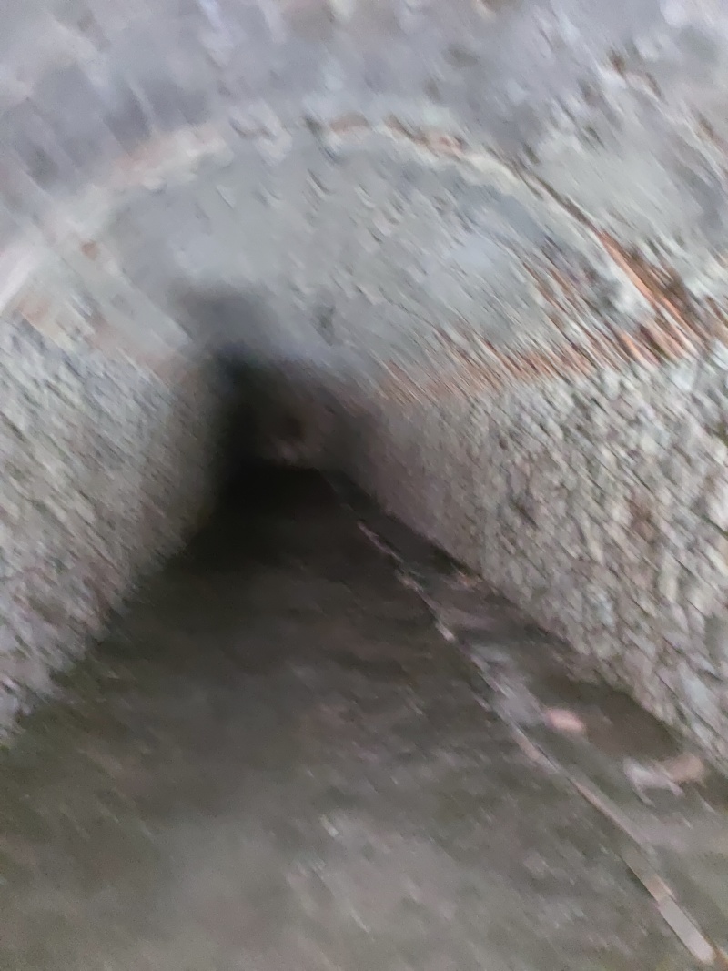 风冷库一座660平方望外出租，有用的请连系