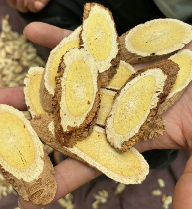 野生黄芪65一斤20斤起批包邮