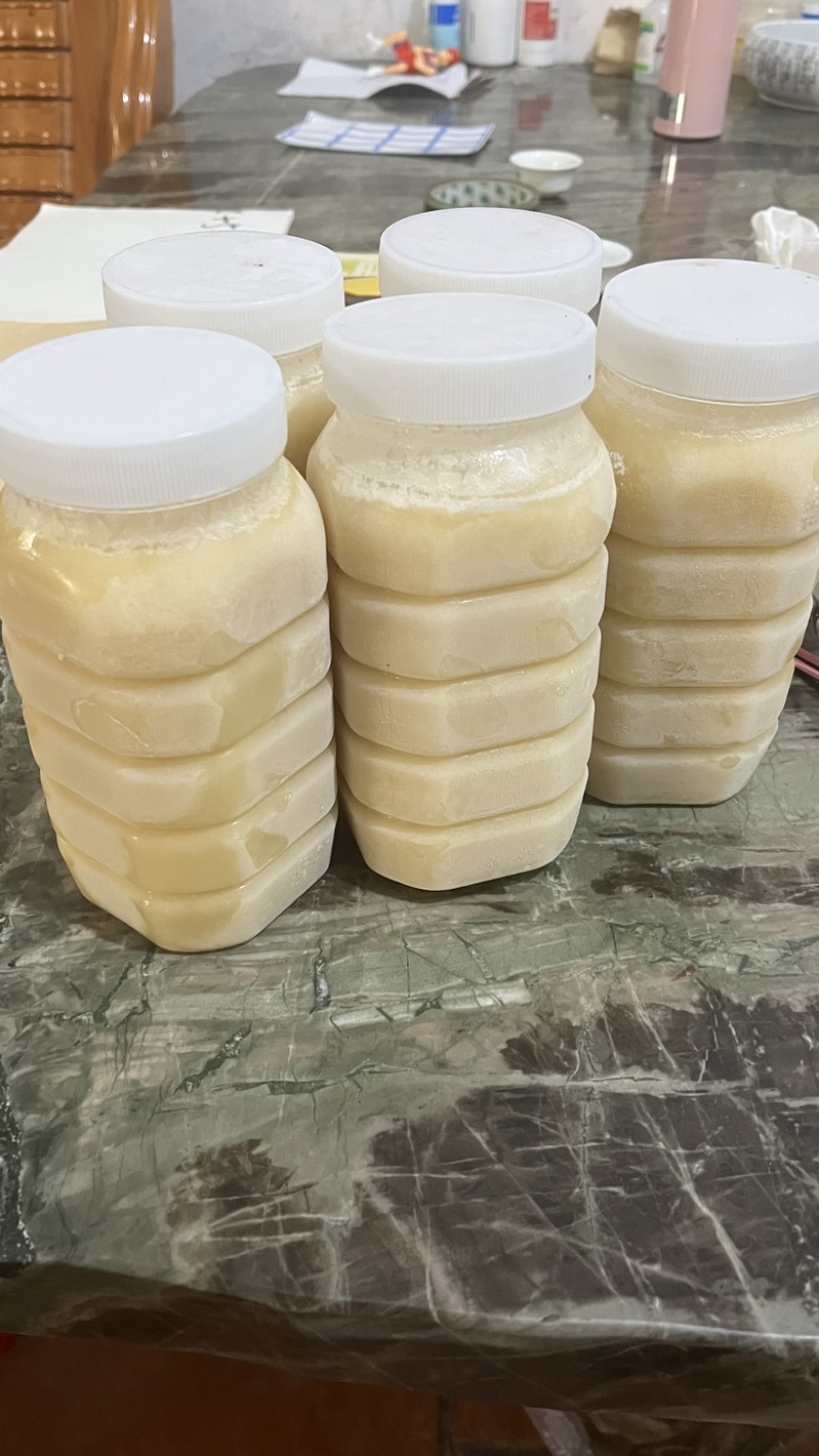 鸭脚木冬蜜精品瓶装支持批发一手货源欢迎电联采购