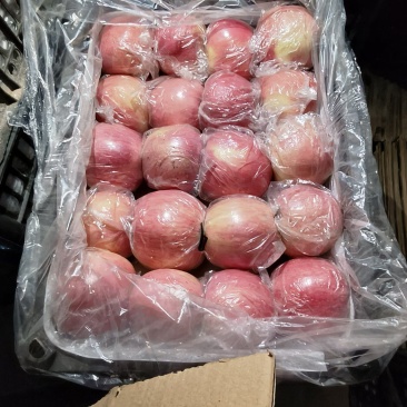 纸加膜红富士
