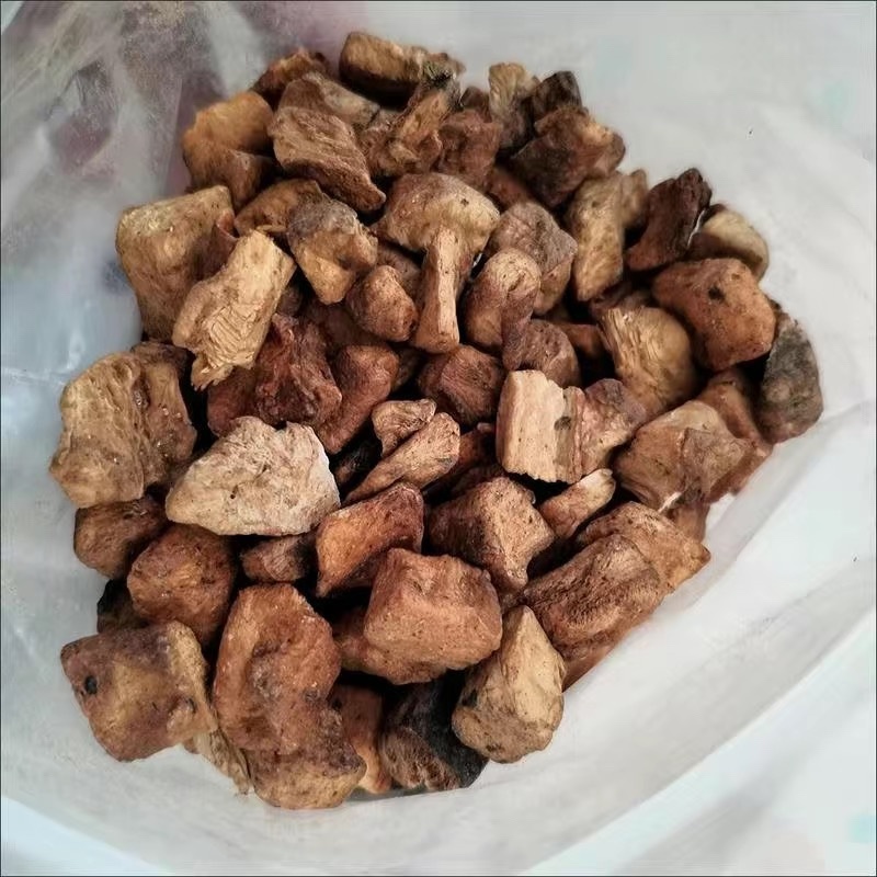 菊苣根菊巨根保庆药材批发炒菊苣根