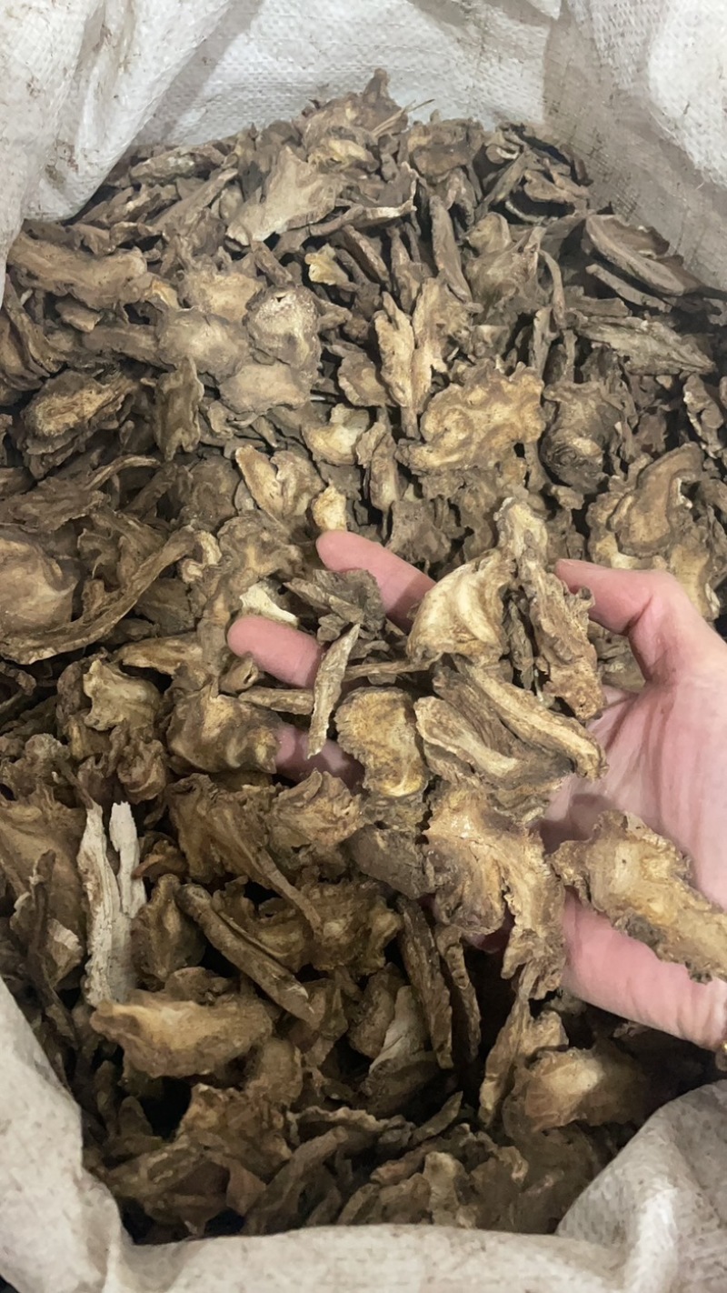 独活保庆药业批发独活实物拍摄独活实物拍摄