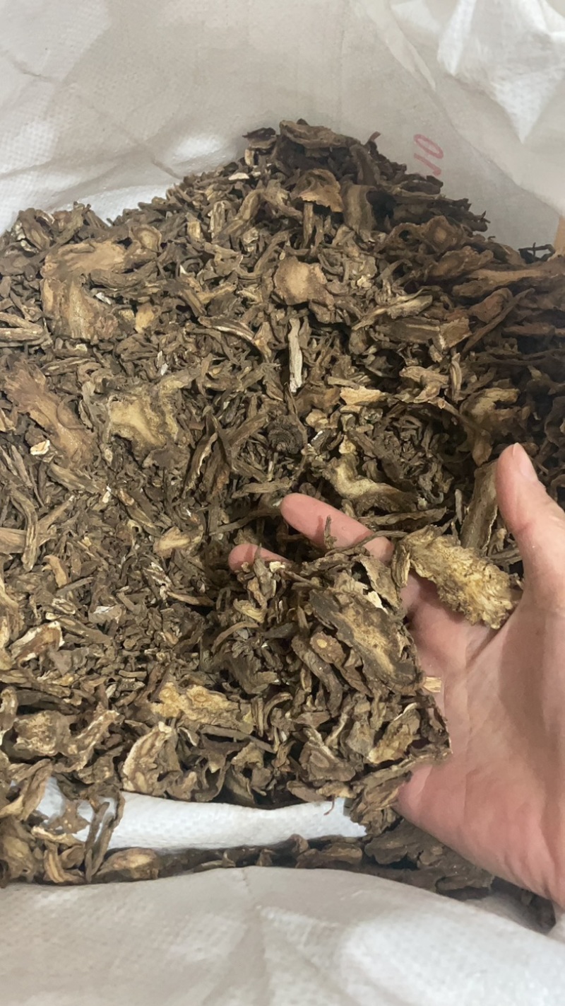 独活保庆药业批发独活实物拍摄独活实物拍摄