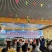五指毛桃苗1000万现苗种植包回收长年供应大量收购