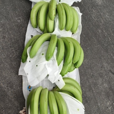 香蕉