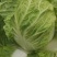 黄心大白菜