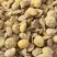 【益生菌大豆】包邮90%大豆+高钙粉，有机质含量高