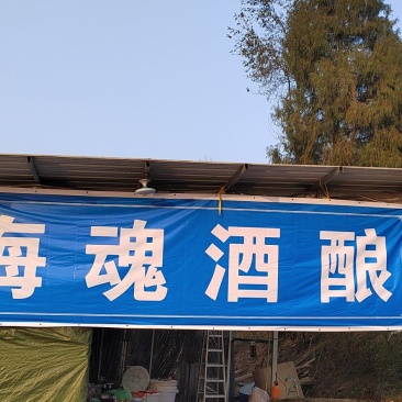 基酒纯粮酒高粱酒、高度米酒。桑葚酒、枇杷酒