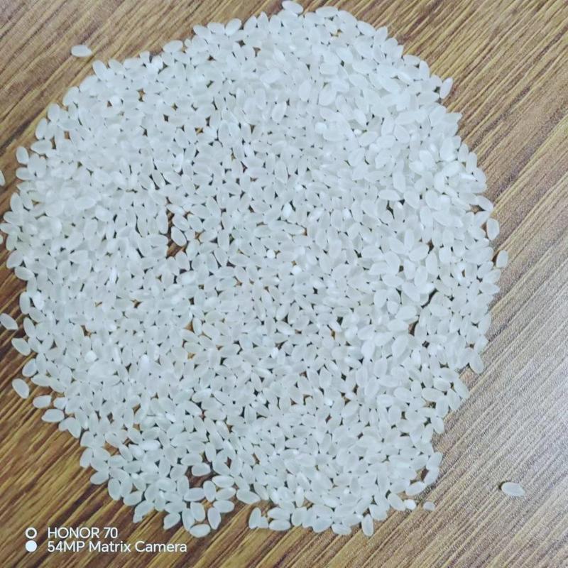 黄河口生态米/优质弱碱米/自产自销/6万亩种植区，粳米