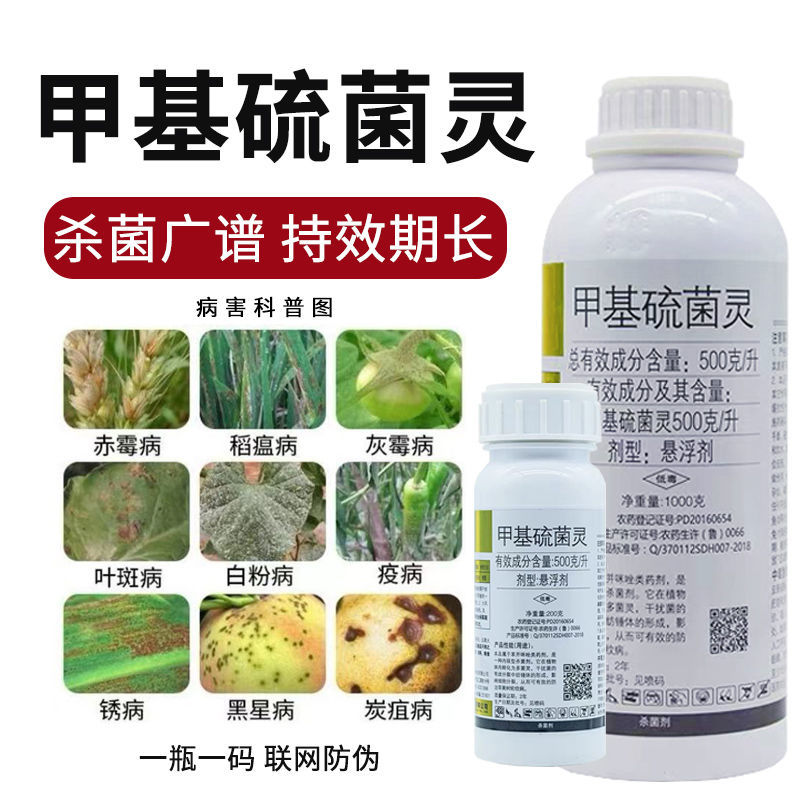 甲基硫菌灵甲托白粉病霜霉病叶斑病赤霉病炭疽病灰霉病农药杀