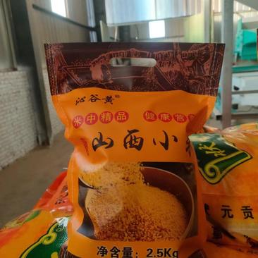 山西一手货源黄小米对接全国市场质量保证量大从优欢迎采购