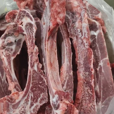 精品多肉肋排条量大从优