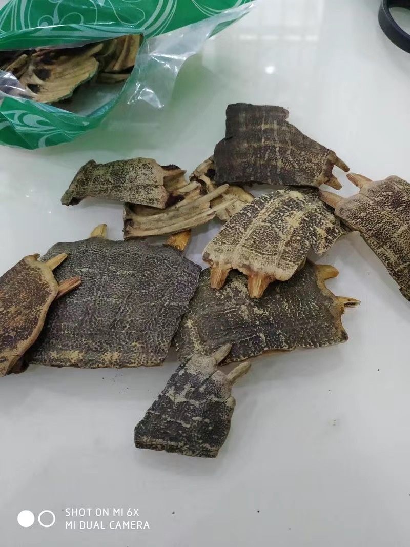 炒鳖甲正品制鳖甲灸鳖甲炒鳖甲醋鳖甲甲鱼壳
