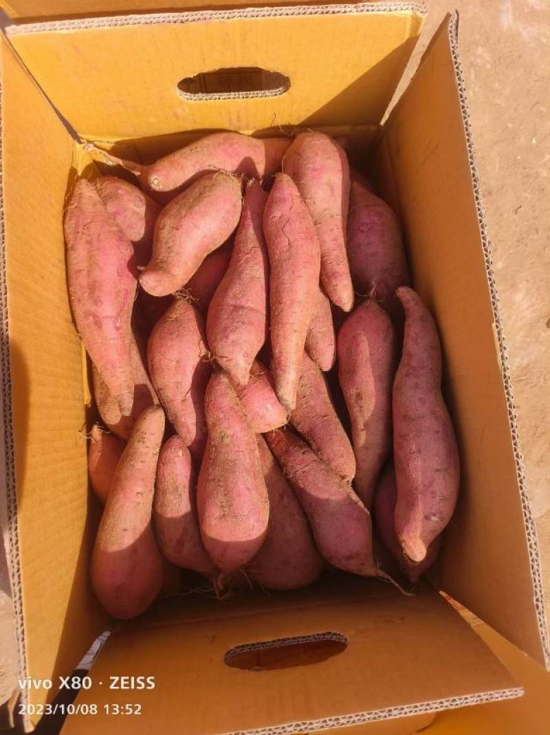 【山东邹城特产】红薯西瓜红，产地直供，品质保证！