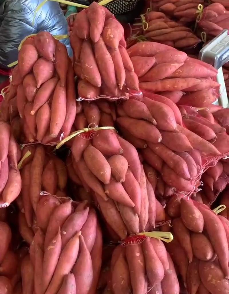 【龙薯】1~3两网袋红薯雄县红薯沙地红薯产地直发常年供货