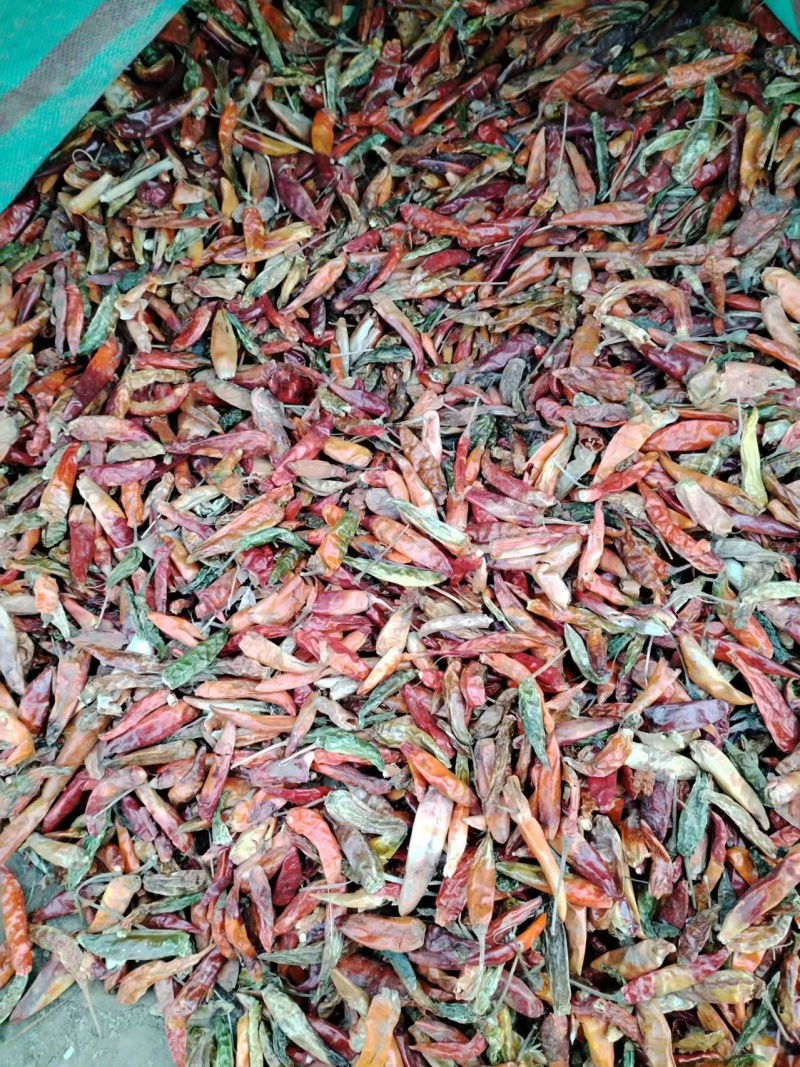 干辣椒朝天椒花皮辣椒产地发货，大量供应，价格便宜欢迎咨询
