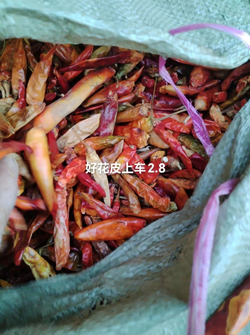 干辣椒朝天椒花皮辣椒产地发货，大量供应，价格便宜欢迎咨询
