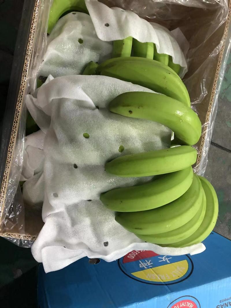 青蕉无花皮包甜包糯现货上车价菲律宾越南每周大量现货
