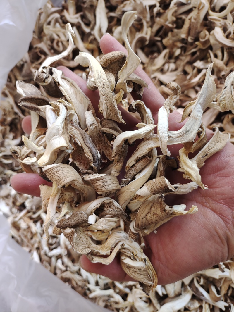 云南平菇菌汤包用油炸菇