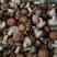 四川优质香菇，品质保证产地直供，支持视频看货选购