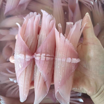 厂家直销：一手货源.鱿鱼、火箭鱿鱼