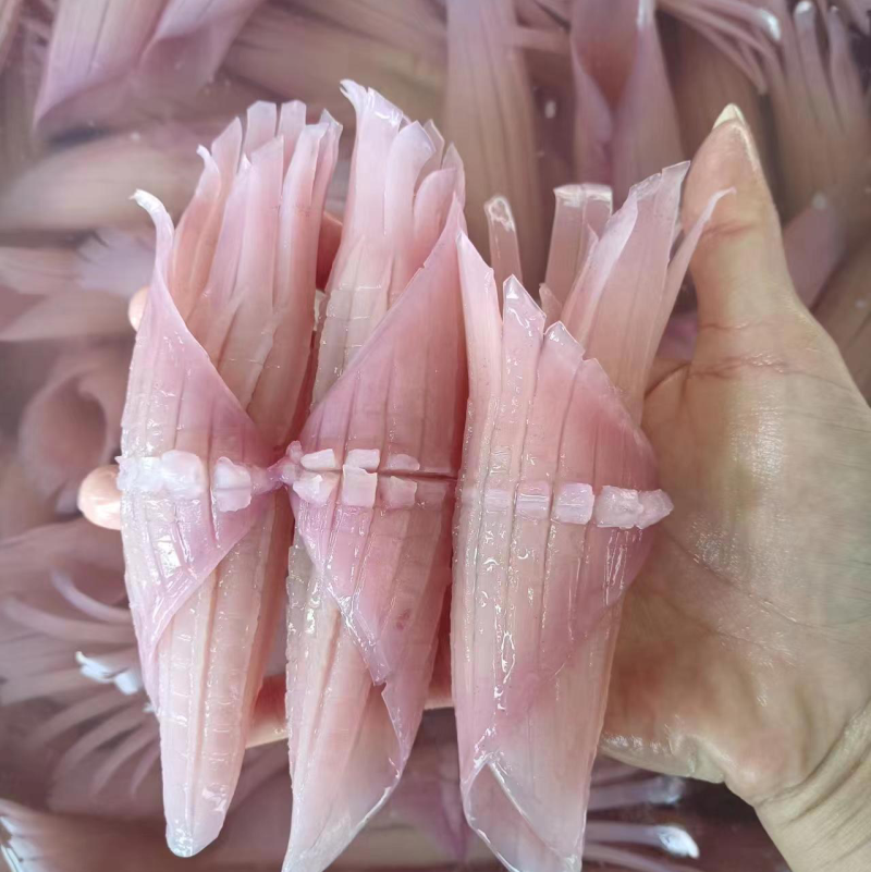 厂家直销：一手货源.鱿鱼、火箭鱿鱼
