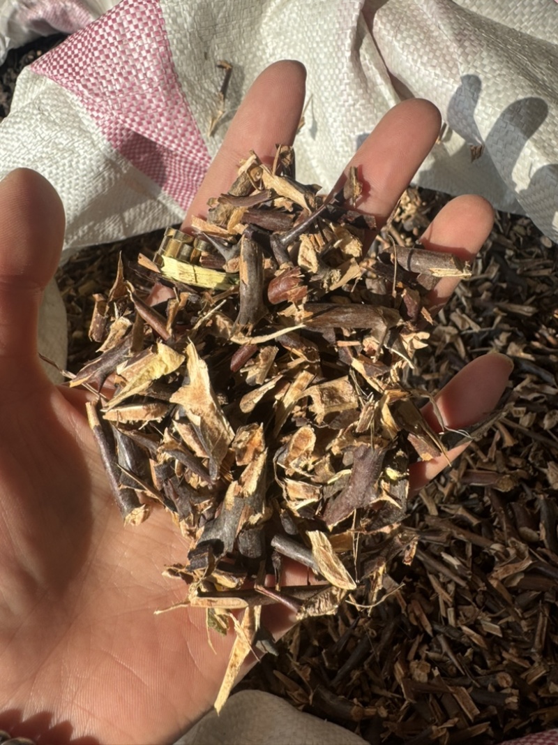 皂针皂角刺天丁皂刺手工剪皂针皂针皂角片皂刺