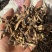 皂针皂角刺天丁皂刺手工剪皂针皂针皂角片皂刺