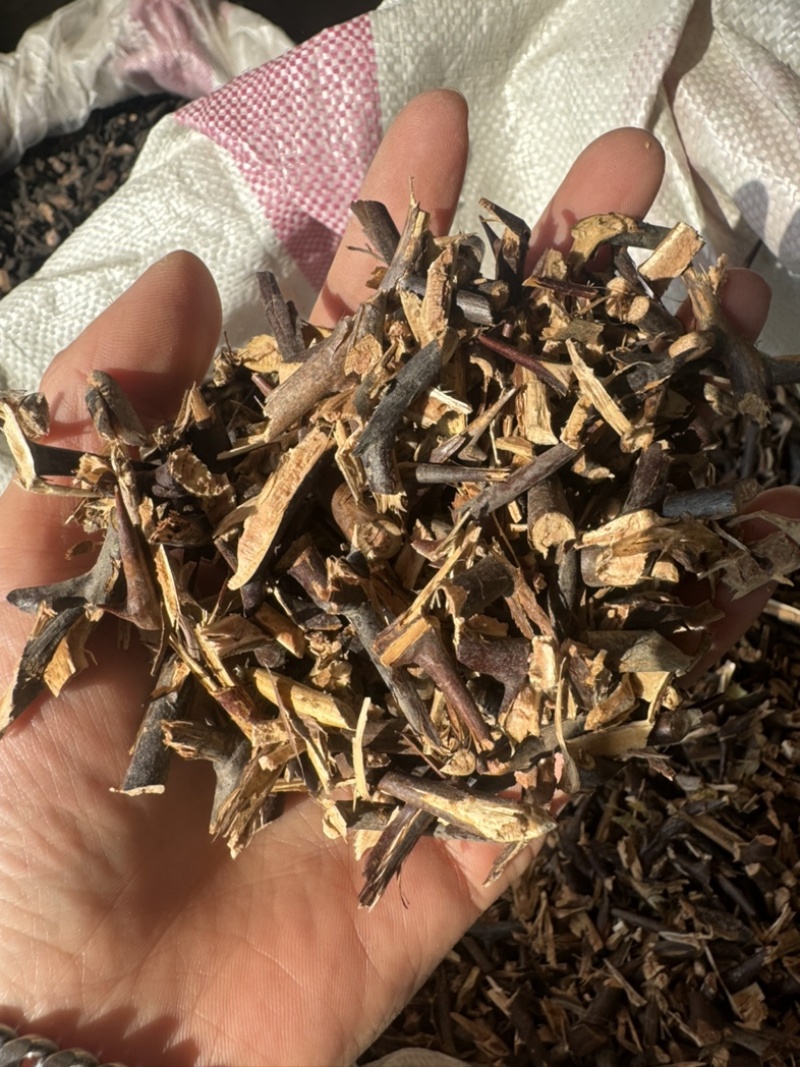 皂针皂角刺天丁皂刺手工剪皂针皂针皂角片皂刺