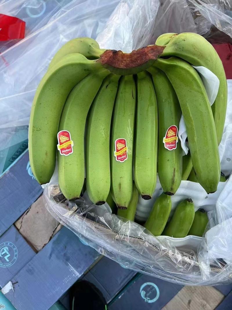 海南香蕉无花皮无硬心包天包糯大量现货速发欢迎来电咨询