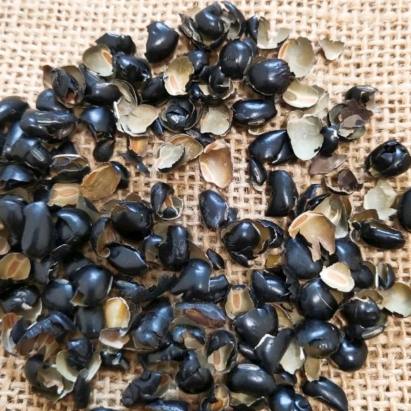 黑豆衣黑豆壳中药材黑豆衣黑豆皮
