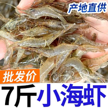 白米虾海鲜海虾批发价白米虾实惠包邮虾米白米虾白米虾