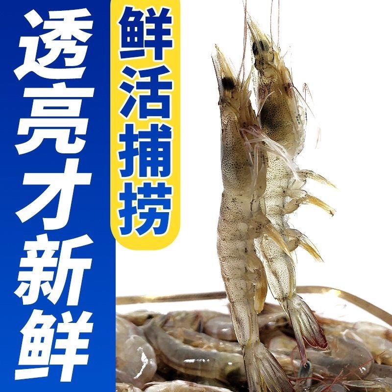 白米虾海鲜海虾批发价白米虾实惠包邮虾米白米虾白米虾
