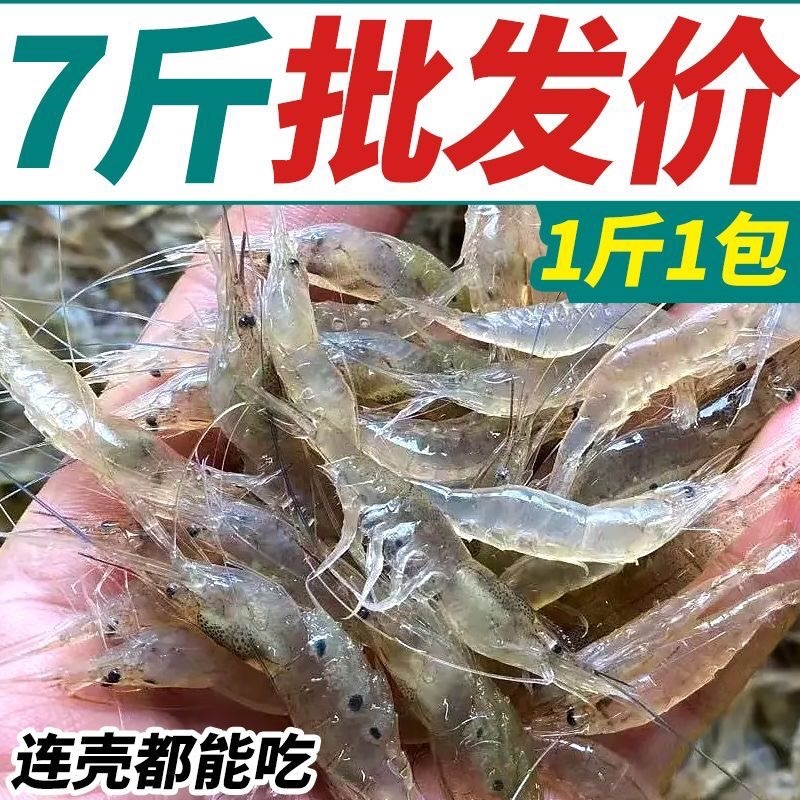 白米虾海鲜海虾批发价白米虾实惠包邮虾米白米虾白米虾