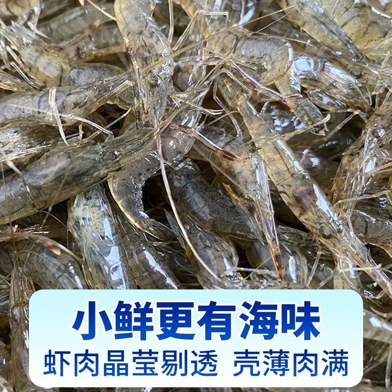白米虾海鲜海虾批发价白米虾实惠包邮虾米白米虾白米虾