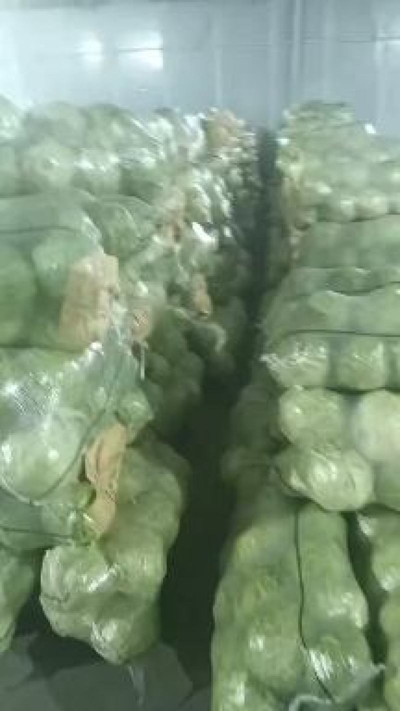 湖北精品甘蓝大量有货，欢迎新老顾客前来洽谈合作