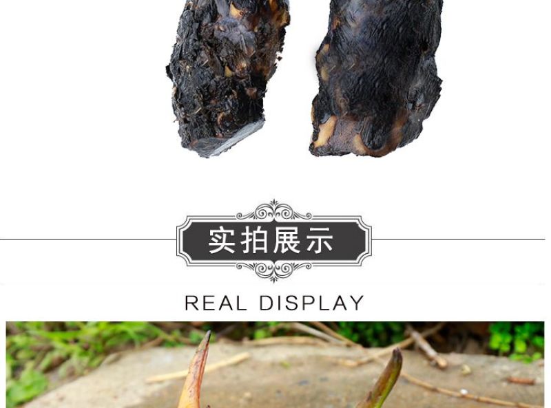 睡莲根块池塘睡莲花水培植物四季莲花盆栽水养花卉荷花大睡莲