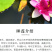 睡莲根块池塘睡莲花水培植物四季莲花盆栽水养花卉荷花大睡莲