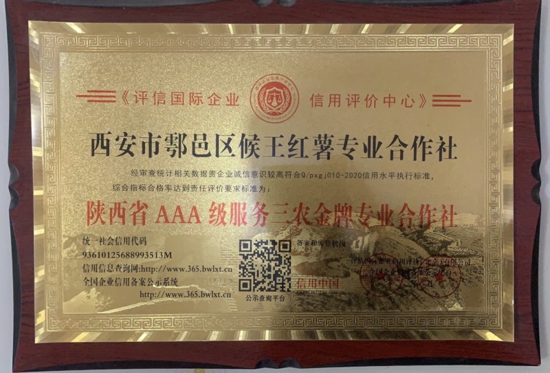 🇨🇳原原种秦薯5号脱毒红薯苗，西瓜红，