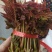 头茬香椿芽：生产基地