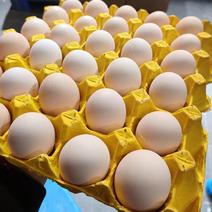 湖北精品粉红鸡蛋，杭州城区免运费，质量保证欢迎来电咨询