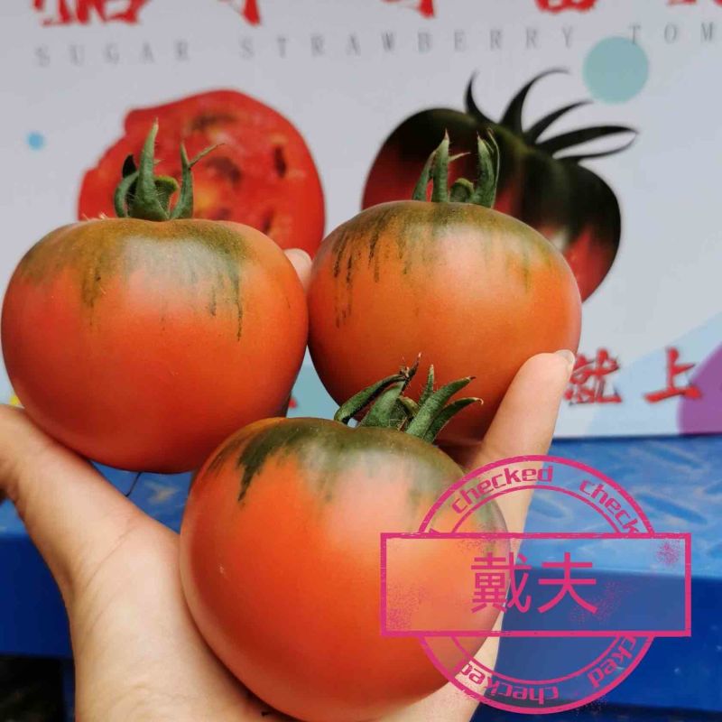 戴夫草莓番茄大量上市，有需要的客商联系我15320118