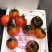戴夫草莓番茄大量上市，有需要的客商联系我15320118