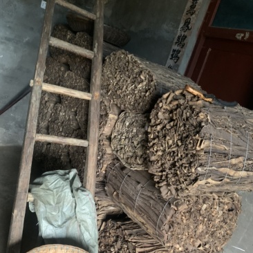 构树皮干货