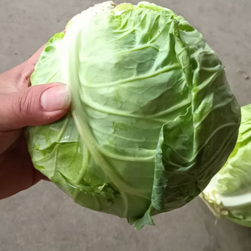 陕西甘兰上市需要的朋友们可以联系